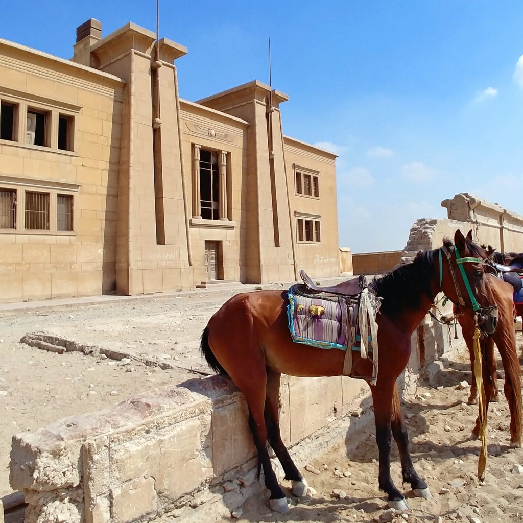 horse at the entrance of Pyramids museum cairo
